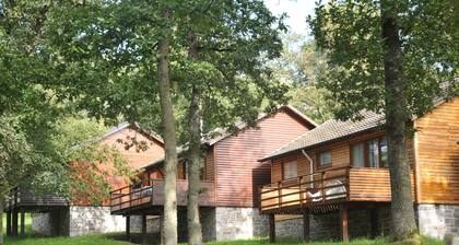 Cozy, Wooden Chalet With Deck, Near Durbuy