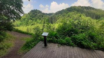 House | View from property