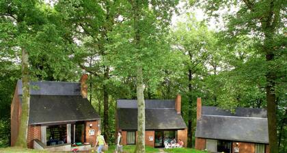 Nicely Furnished Bungalow with Fireplace near Maas