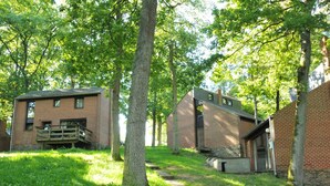 A rustic cabin with a wooden deck and a stone pathway leading to it, surrounded by lush greenery. - Nicely Furnished Bungalow with Fireplace near Maas (Hastiere)