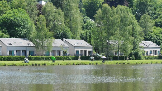 A lakeside view of a residential area with modern houses, a clear sky, and a duck swimming in the water. - Holiday Home in Vielsalm With Lake View (Vielsalm)