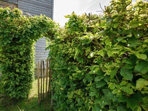 Garden - Stunning Cottage With Terrace in Manhay (Manhay)