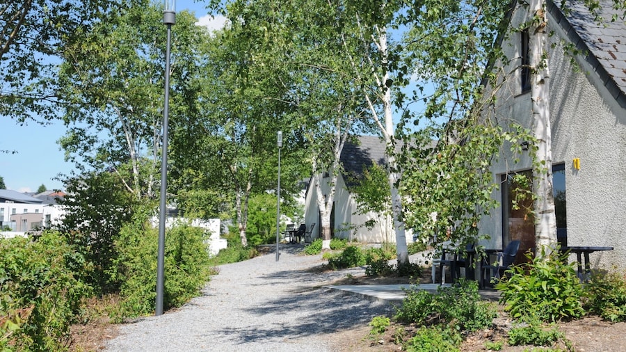 Holiday Home in Vielsalm With Lake View