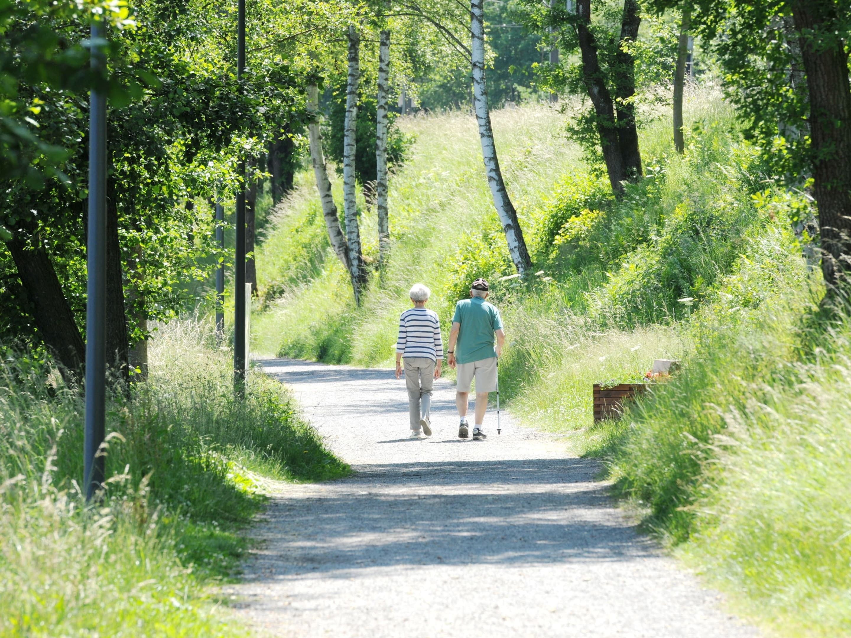 A gravel path flanked by trees and greenery, leading into a forested area.