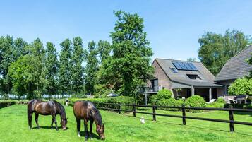 Apartment | Exterior