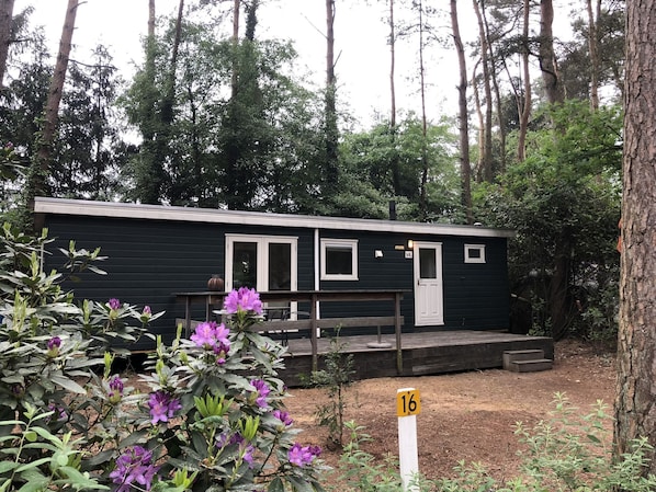 Chalet | Exterior