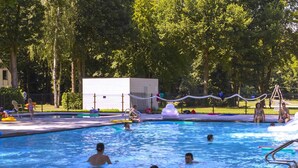 Outdoor pool - Nicely Furnished Studio in Belgian Limburg (Houthalen-Helchteren)