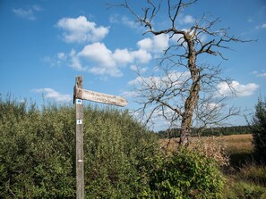 コテージ | 施設からの眺望