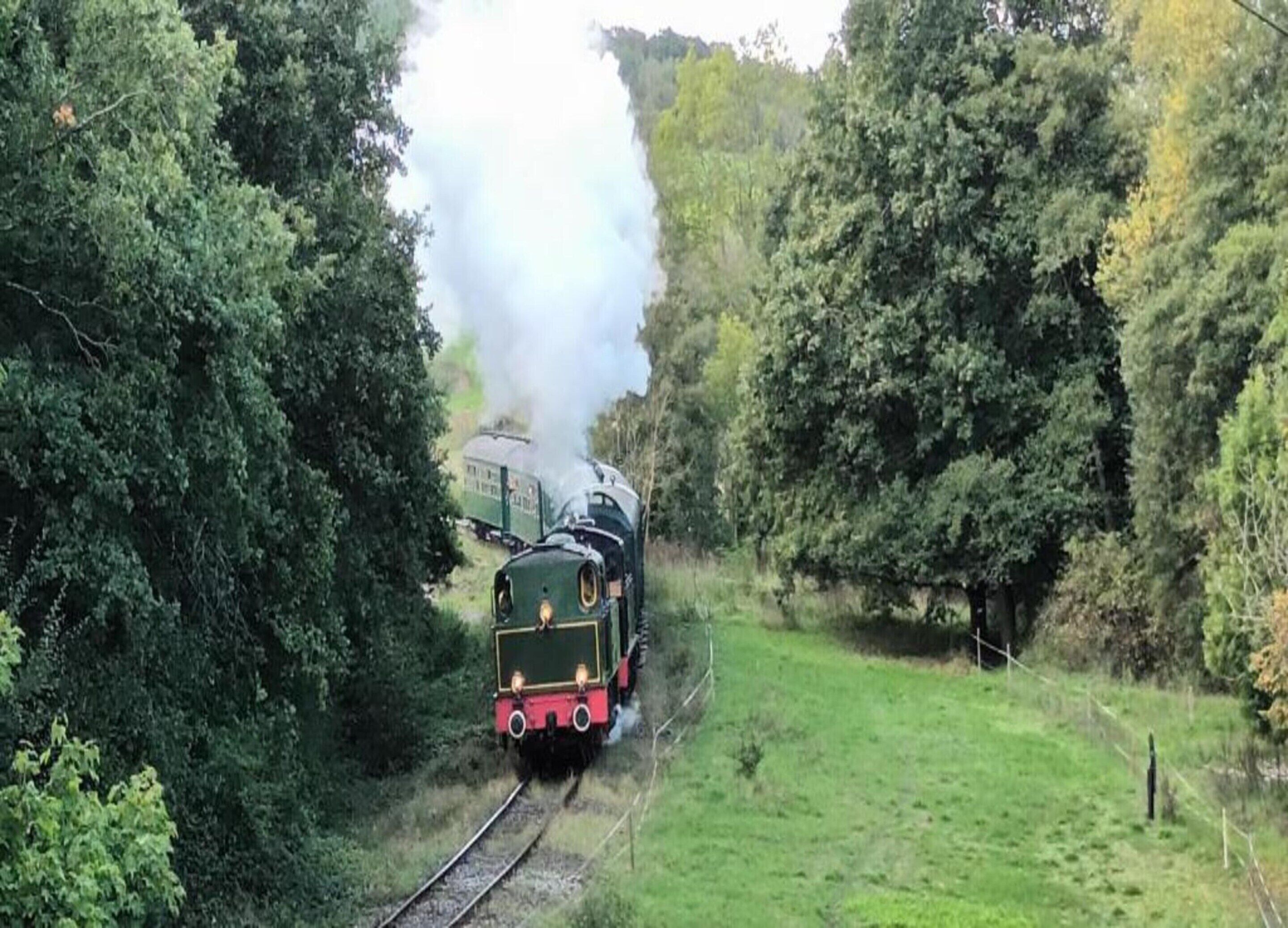 A steam locomotive on a railway track surrounded by dense greenery.