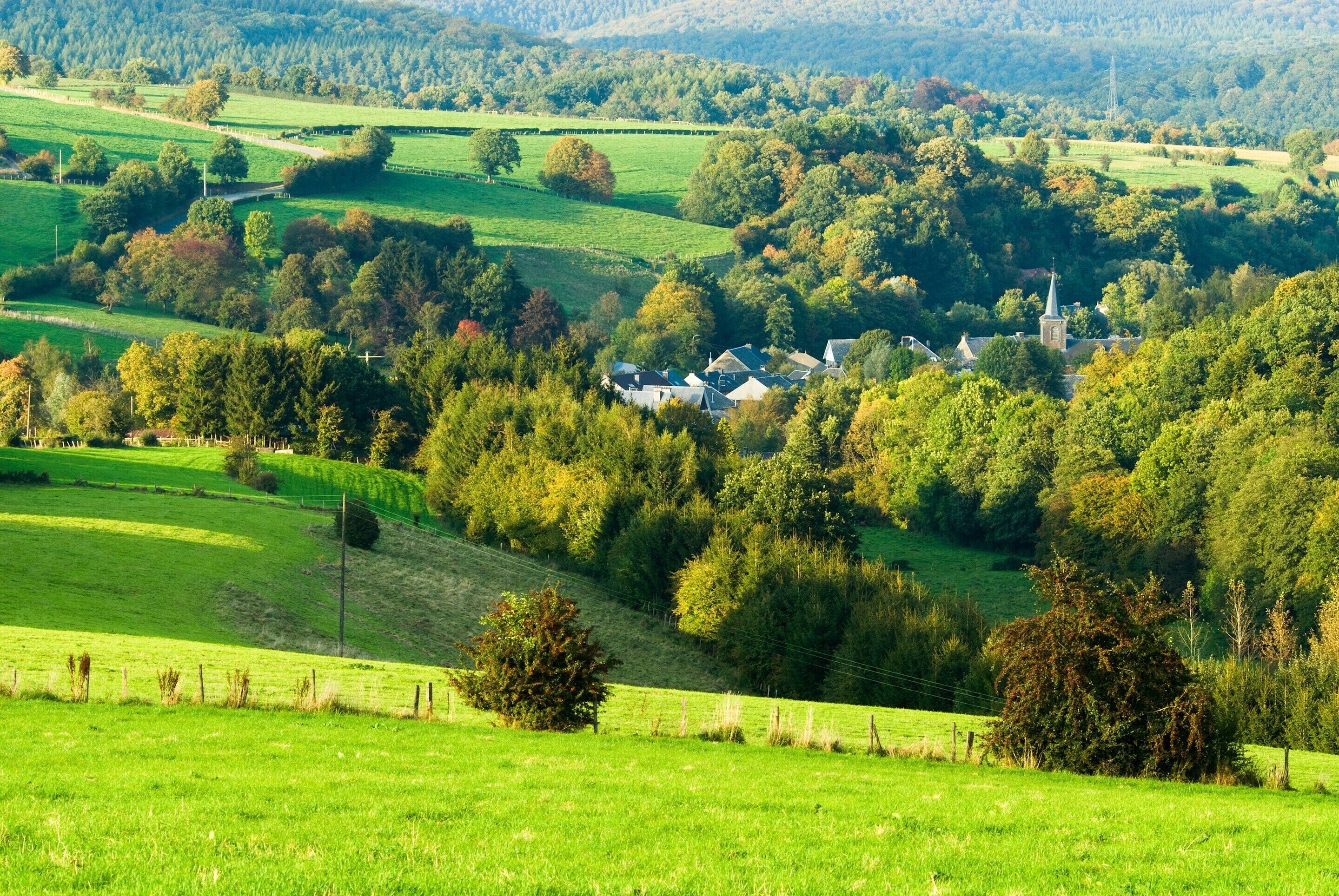 Un paysage rural caractérisé par de vastes champs verdoyants, des arbres dispersés et un petit groupe de maisons, avec le clocher d’une église qui se dresse au milieu.