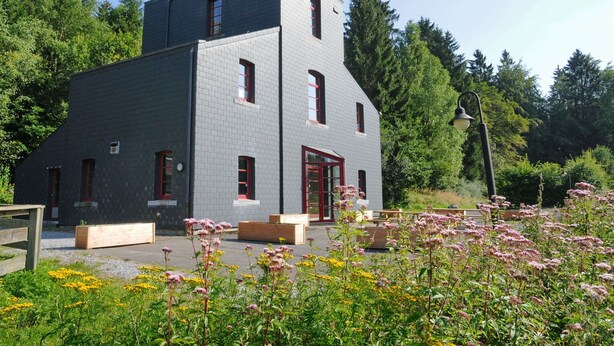 Exterior - Holiday Home in the Middle of the Forest, Ideal for a Family Reunion (Nassogne)