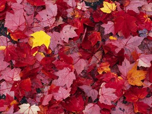 バンケット ホール