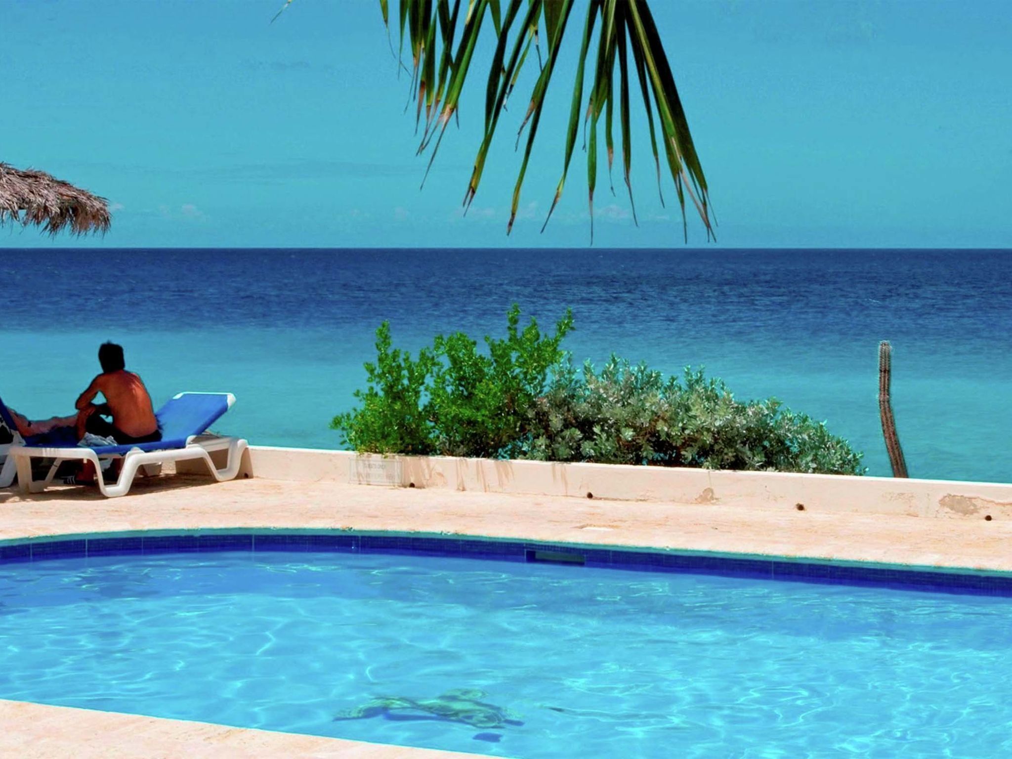 Apartment | Pool | Outdoor pool