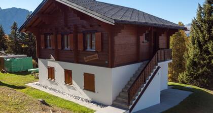 Detached Chalet at the alm in the Car-free Village of Rosswald. Outstanding View