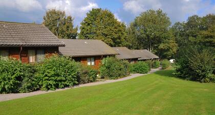 Bungalow in Belgium Near Green Hills