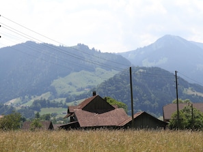 Exterior - Large Farmhouse in Horboden With Garden (Diemtigen)