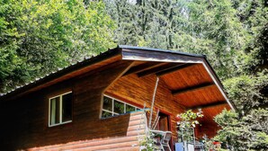 A wooden cabin with a sloped roof, surrounded by dense forest. - Ortho Hideaway With Garden (La Roche-en-Ardenne)