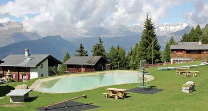 This Chalet is in an Attractive Position in the Car-free Village of Rosswald