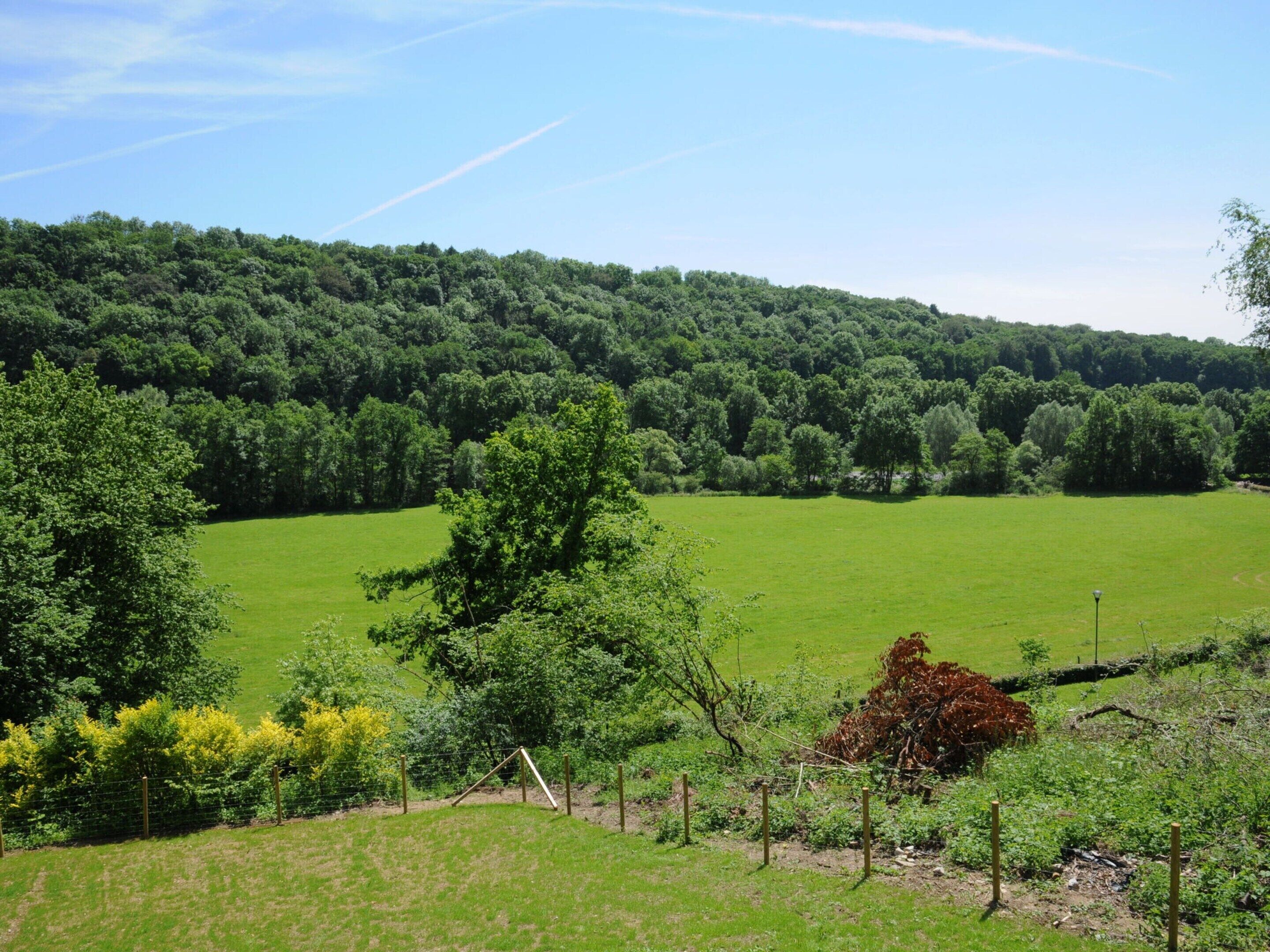 Ländliche Landschaft mit einem großen, grünen Feld, Bäumen und einer Erhebung im Hintergrund.