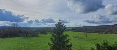 A rural landscape with a green field, a tree, and a cloudy sky.