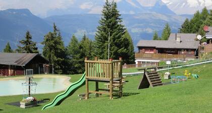 Gorgeous Chalet in Rosswald in Prime Location