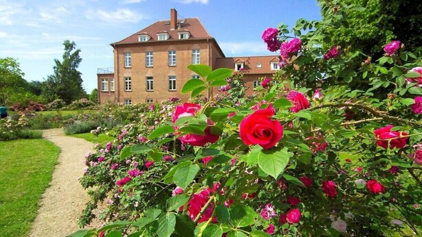 A garden with a pathway leading to a large brick building with multiple windows and a red roof.