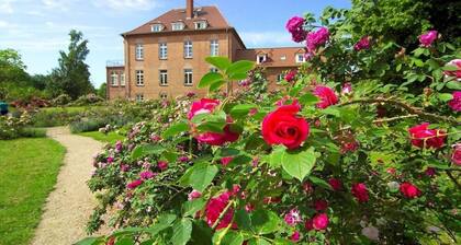 Wohnung mit Terrasse in Warnkenhagen