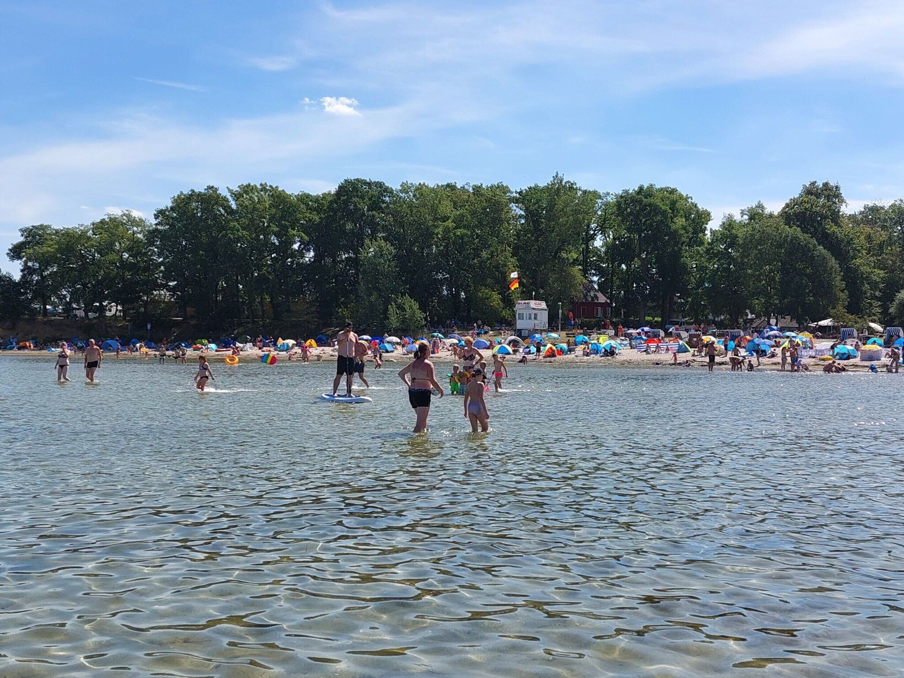 A beach scene with people in the water and on the sand, umbrellas, and a flag.