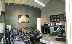 Departamento Deluxe | Área de sala de estar | Televisión LED de 49 pulgadas con canales por cable y televisión 