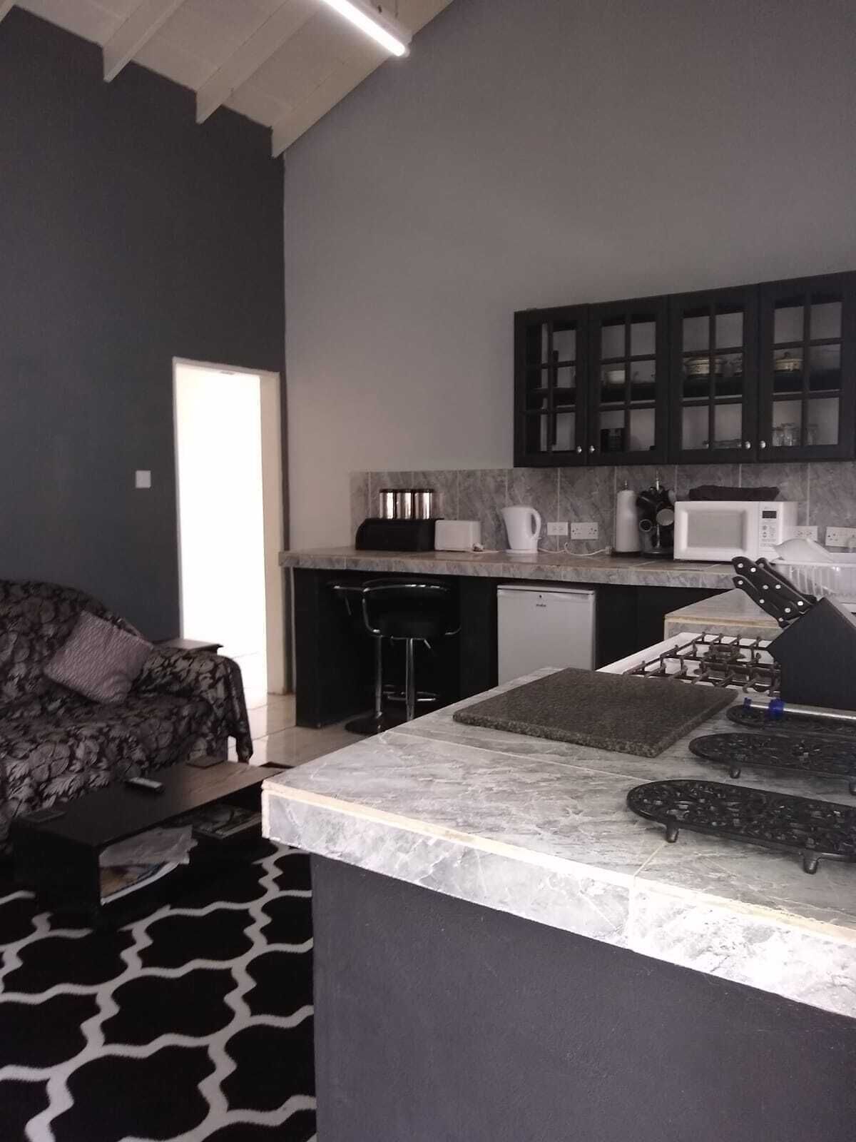 Deluxe Apartment | Private kitchen | Fridge, microwave, oven, electric kettle