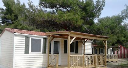 Belvedere Mobile Homes
