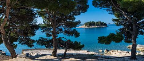 A coastal view with trees, a stone pathway, and a calm sea.