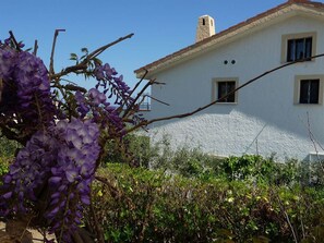 Maison | Extérieur