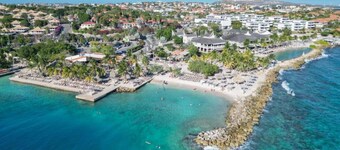 Villa in Jan Thiel With Private Pool