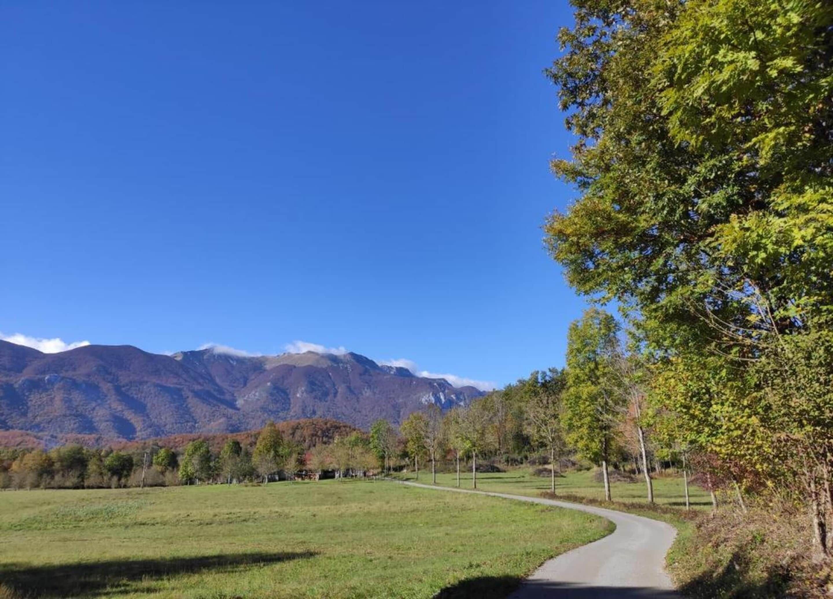A rural landscape with a winding road, green fields, and mountains in the background.