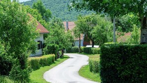 Eine gewundene Straße, gesäumt von üppiger Vegetation und traditionellen Gebäuden mit roten Ziegeldächern.