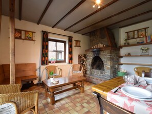 Fireplace, DVD player - Spacious House With Panoramic View Over the Ourthe Valley (Houffalize)