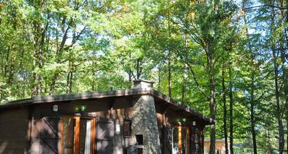 Wooden Chalet With Stove and Microwave Located in the Forest