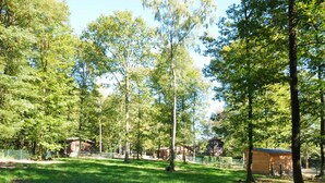 Billede uden beskrivelse, 2 af 13, knap