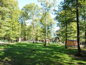 Exterior - Wooden Chalet With Stove and Microwave Located in the Forest (Viroinval)