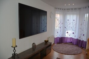 Smart TV, DVD player - Wohnen im Grünen und Stadtnah (Dresden)