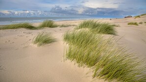 A beach with sand dunes and grass. - Fletcher Strandhotel Haamstede (Burgh-Haamstede)