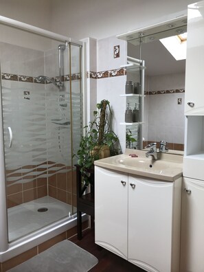 Shower, hair dryer, towels, toilet paper