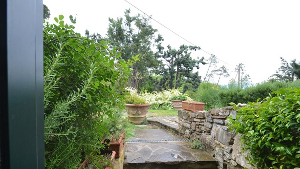 Un sendero de piedra conduce a un pequeño puente de piedra sobre un elemento acuático, rodeado de abundante vegetación y plantas en macetas.
