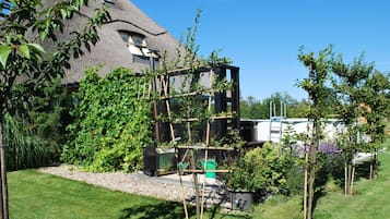 House | Pool | Indoor pool, outdoor pool