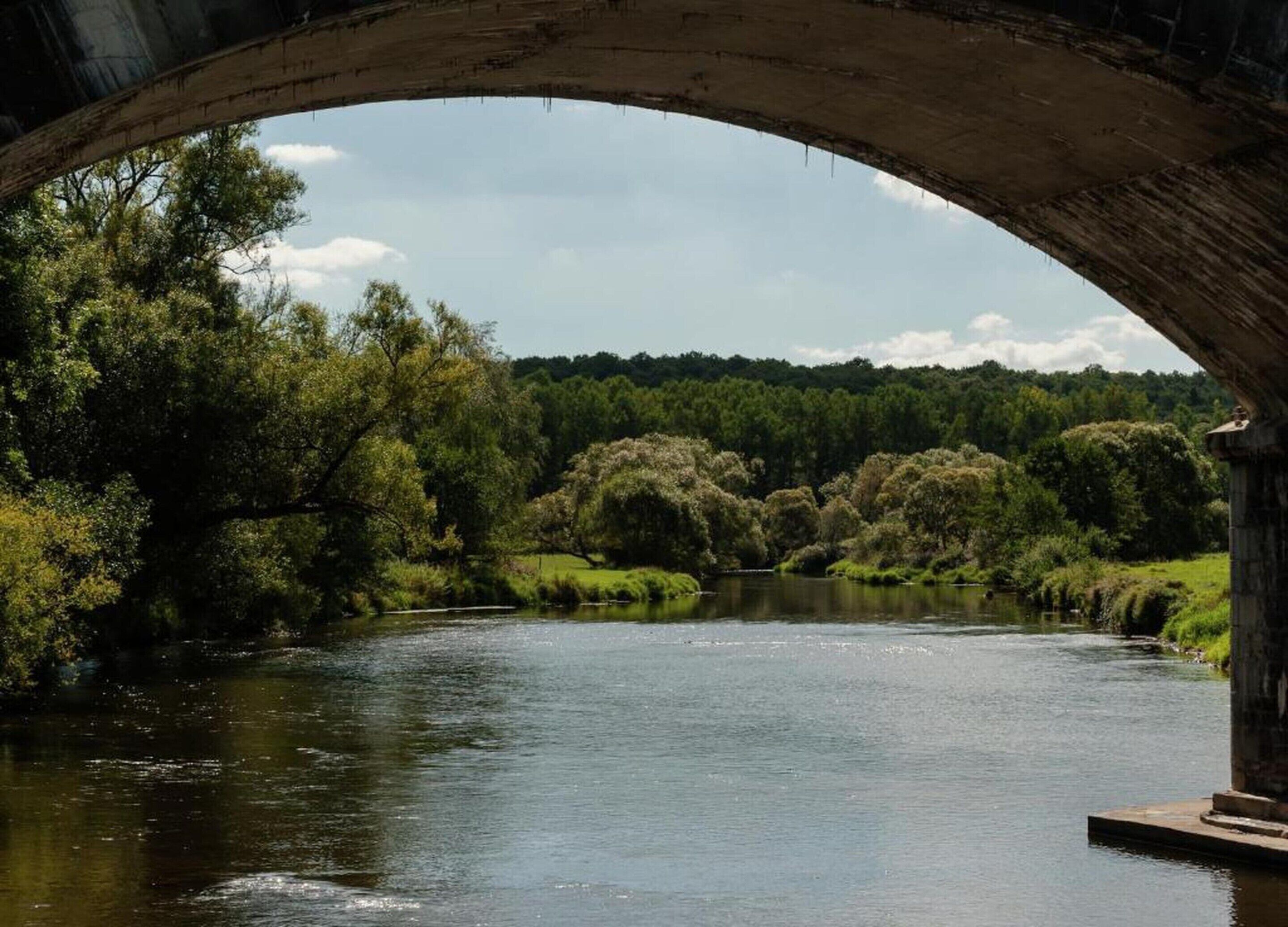 Un puente de piedra en arco sobre un río tranquilo, rodeado de vegetación exuberante y árboles.