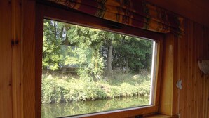 A window with a view of a forested area.