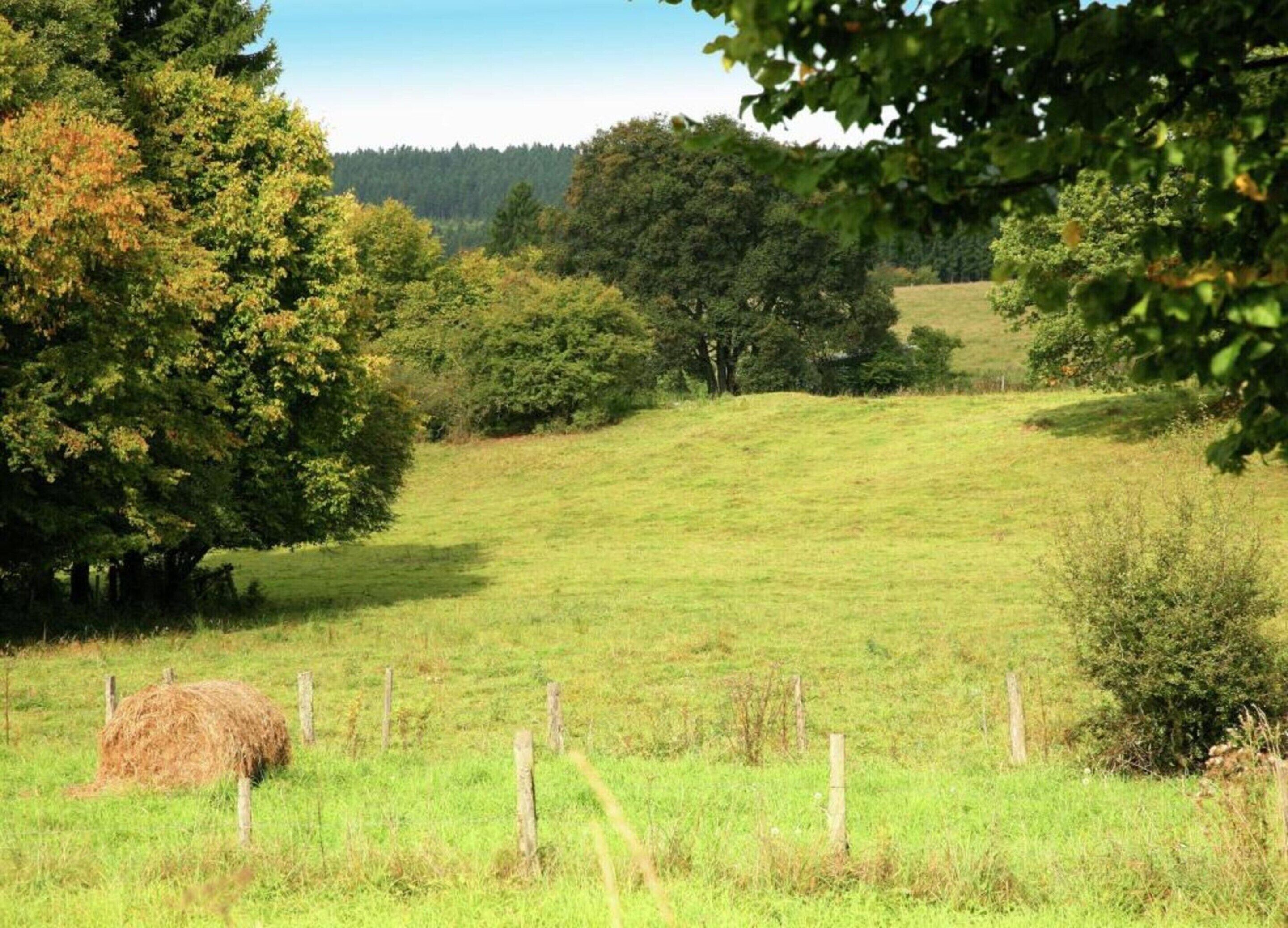 Un campo cubierto de hierba con un fardo de heno y una cerca.