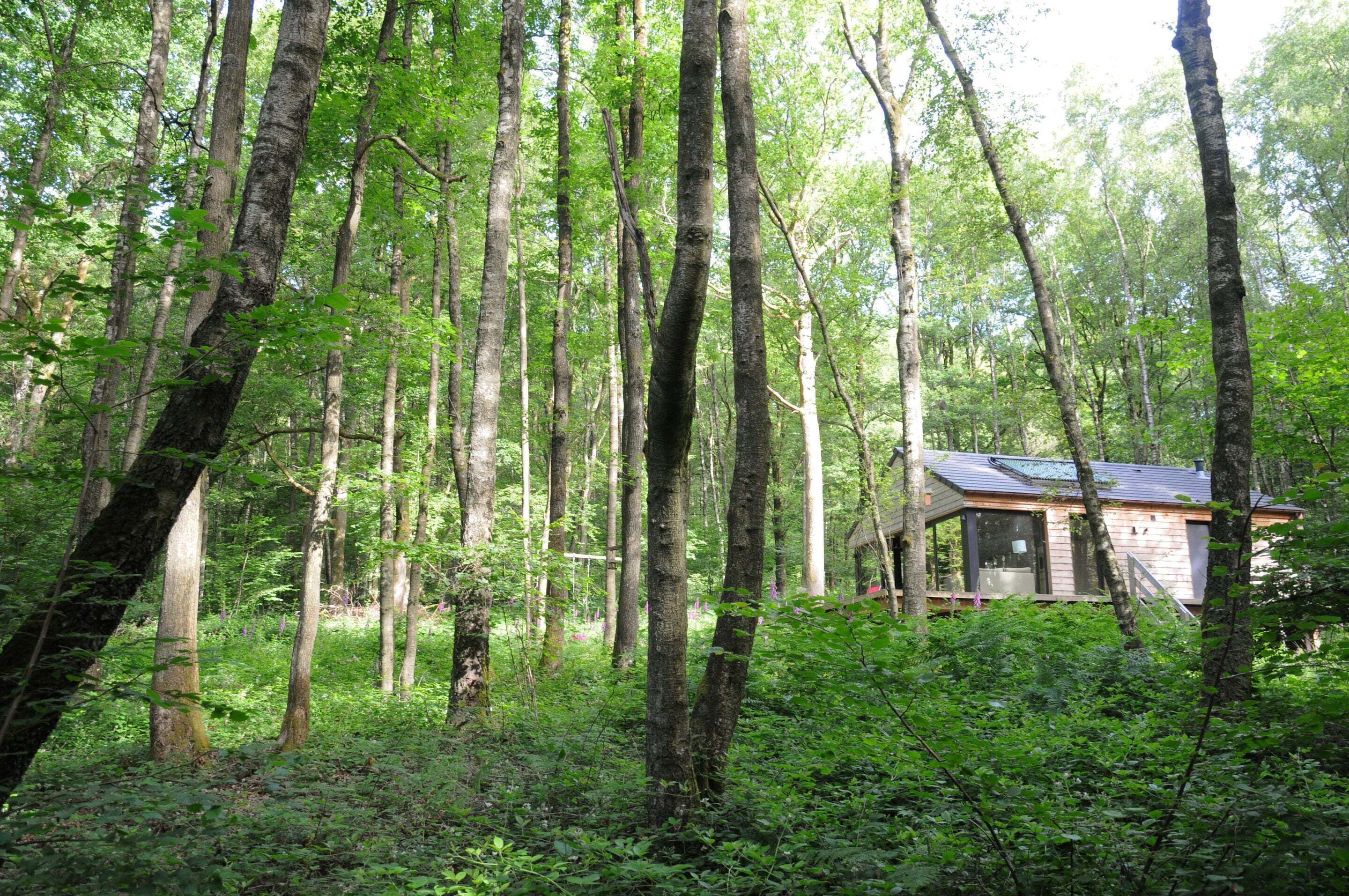 House | Pemandangan dari hartanah
