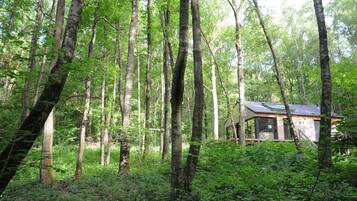 House | Pemandangan dari hartanah